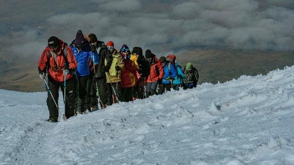 ������. ������ 2020 ����. �����: ��� ��������, ���� 4