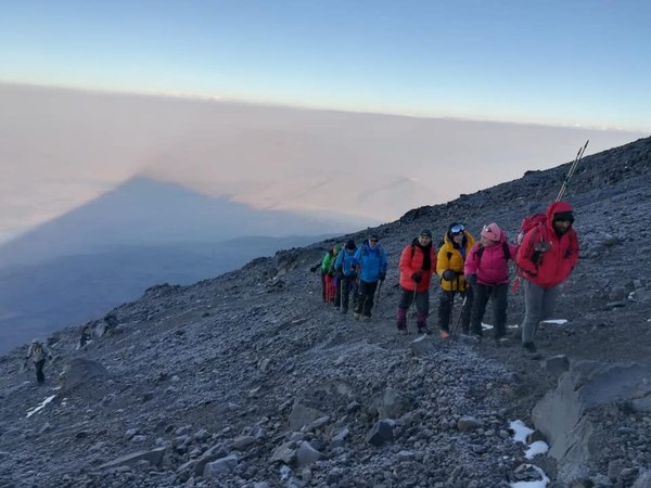 ������. ������ 2020 ����. �����: ��� ��������, ���� 17