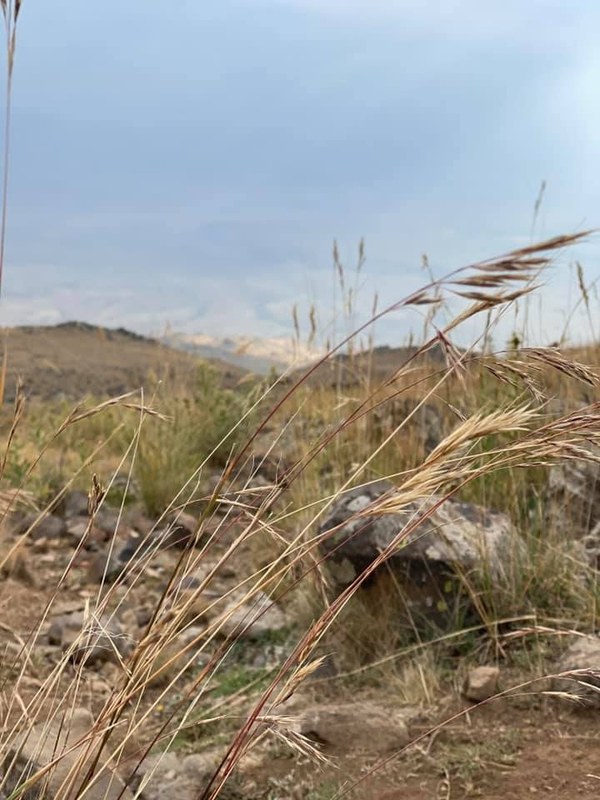 ������. ������ 2020 ����. �����: ��� ��������, ���� 36