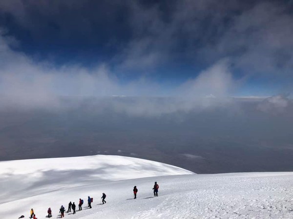 ������. ������ 2020 ����. �����: ��� ��������, ���� 18