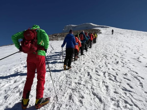 ������. ������ 2020 ����. �����: ��� ��������, ���� 19