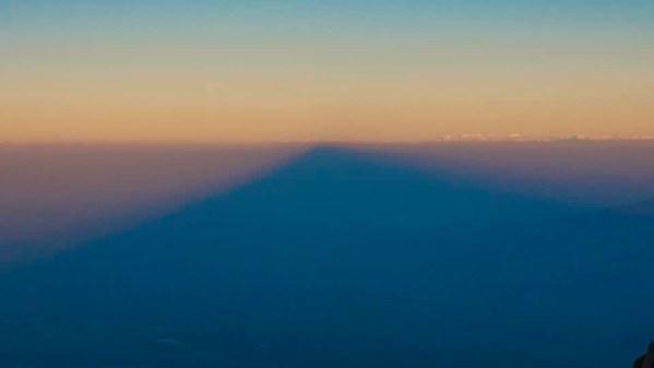 ������. ������ 2020 ����. �����: ��� ��������, ���� 6