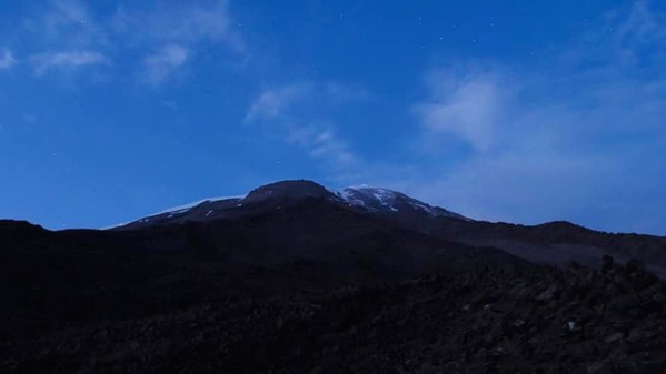 ������. ������ 2020 ����. �����: ��� ��������, ���� 7