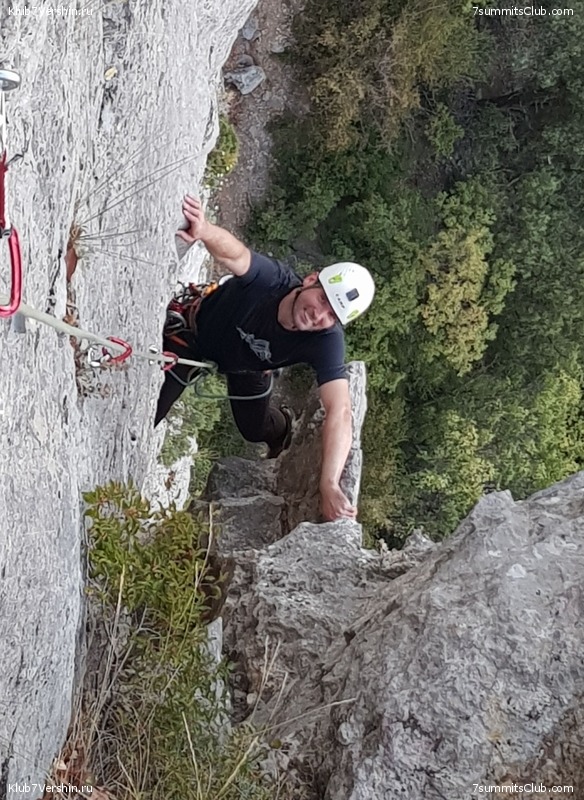 ���� 2020. �����, ���� 115