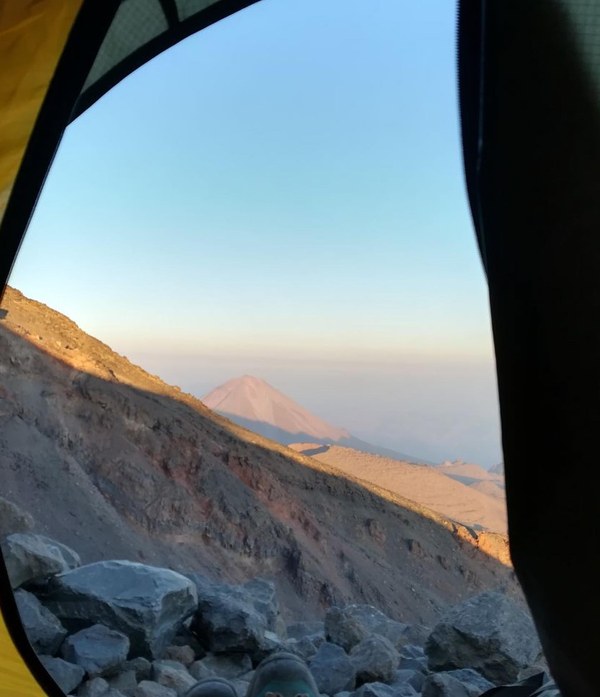 ������ 2020. ���������� ������� ���������, ���� 29