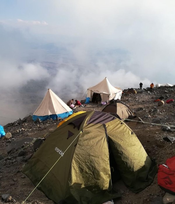 ������ 2020. ���������� ������� ���������, ���� 31