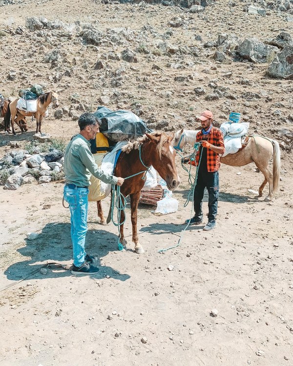 ������ 2020. ���������� ������� ���������, ���� 41