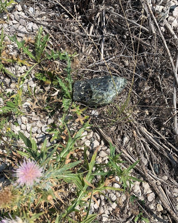 ������ 2020. ���������� ������� ���������, ���� 45