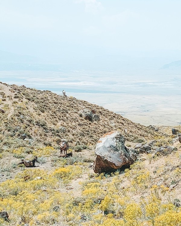 ������ 2020. ���������� ������� ���������, ���� 46