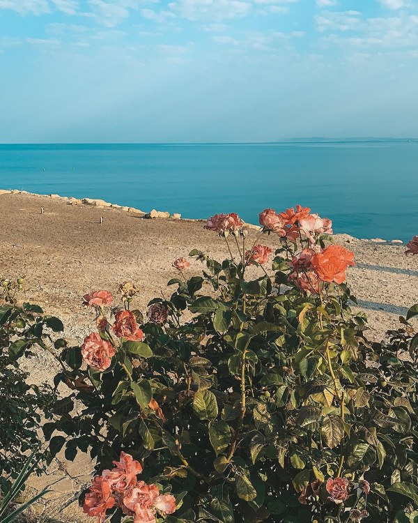 ������ 2020. ���������� ������� ���������, ���� 57