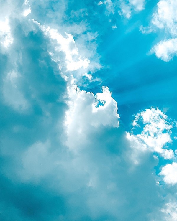 ������ 2020. ���������� ������� ���������, ���� 71