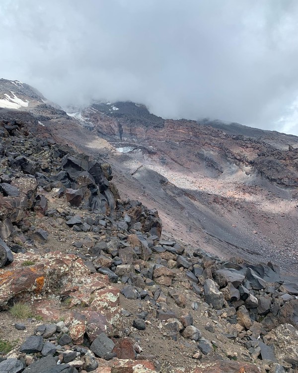 ������ 2020. ���������� ������� ���������, ���� 78