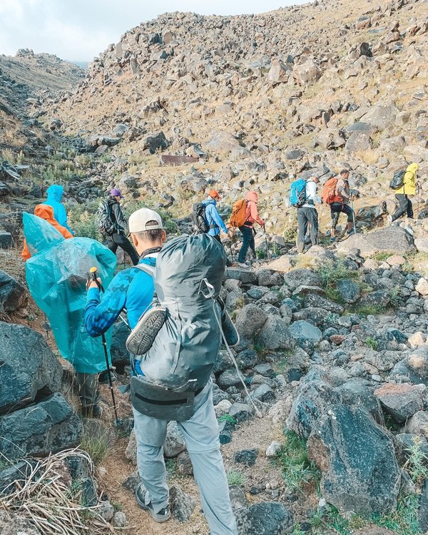 ������ 2020. ���������� ������� ���������, ���� 79