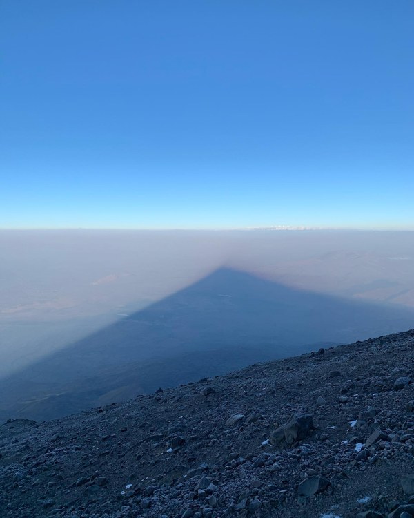 ������ 2020. ���������� ������� ���������, ���� 80