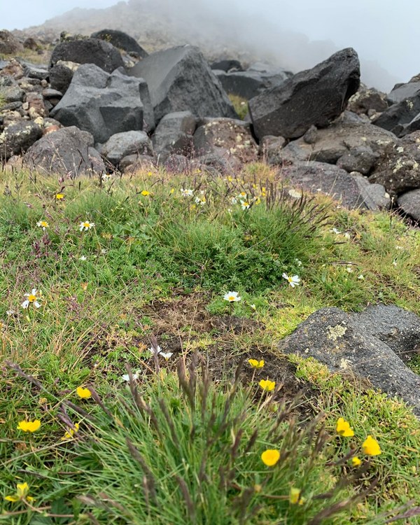 ������ 2020. ���������� ������� ���������, ���� 83