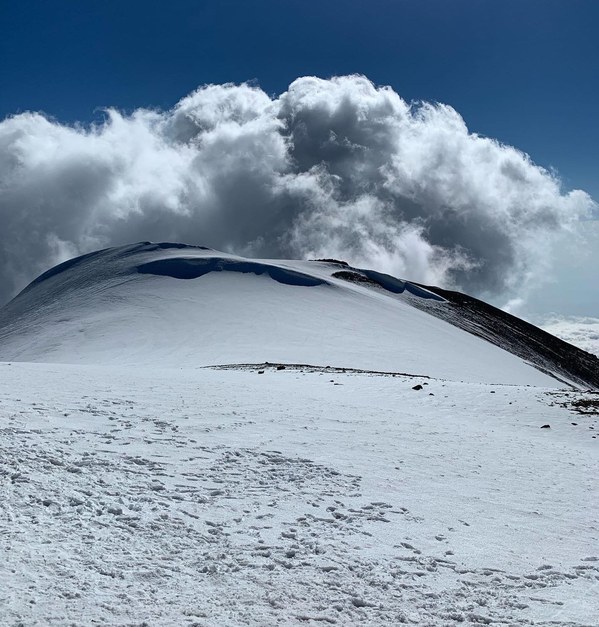 ������ 2020. ���������� ������� ���������, ���� 26