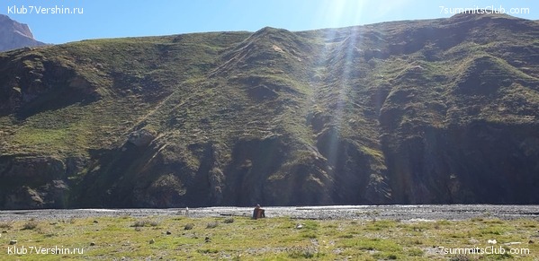 �������� ���������, ���� 5