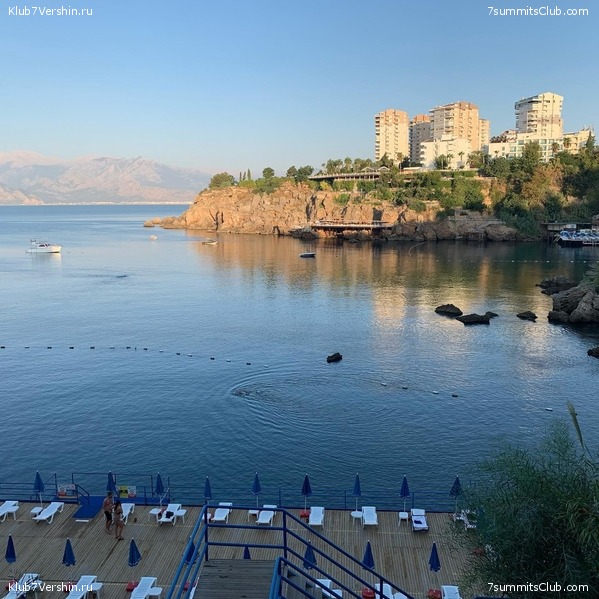 ������. �������� 2020. ������ ������., ���� 50