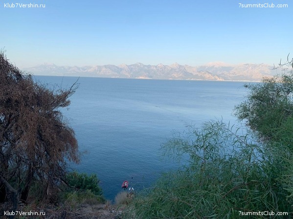 ������. �������� 2020. ������ ������., ���� 2