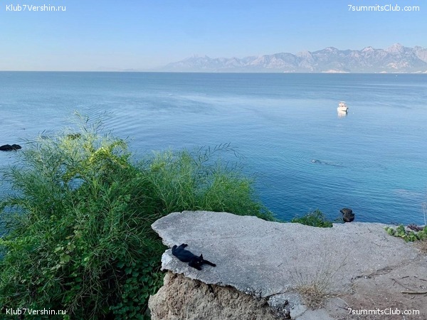 ������. �������� 2020. ������ ������., ���� 30