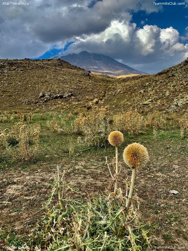 ������. �������� 2020. ������ ������., ���� 67