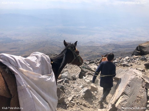 ������. �������� 2020 ����. ������ ������, ���� 31