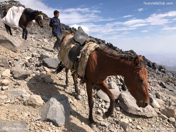 ������. �������� 2020 ����. ������ ������, ���� 14