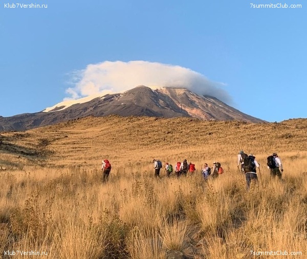 ������. �������� 2020 ����. ������ ������, ���� 35