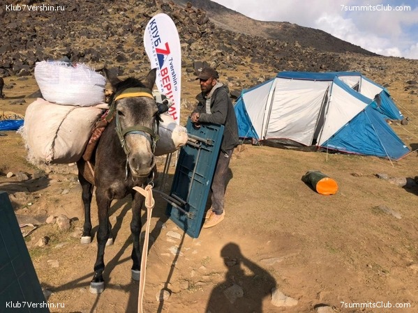 ������. �������� 2020 ����. ������ ������, ���� 24