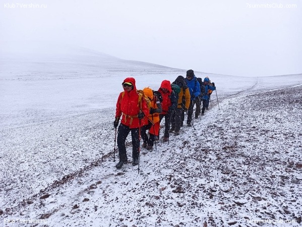 ���� ���� ������. ������ 2021. ������ ������, ���� 81