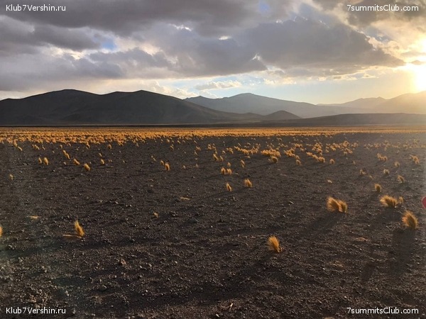 ���� ���� ������. ������ 2021. ������ ������, ���� 88