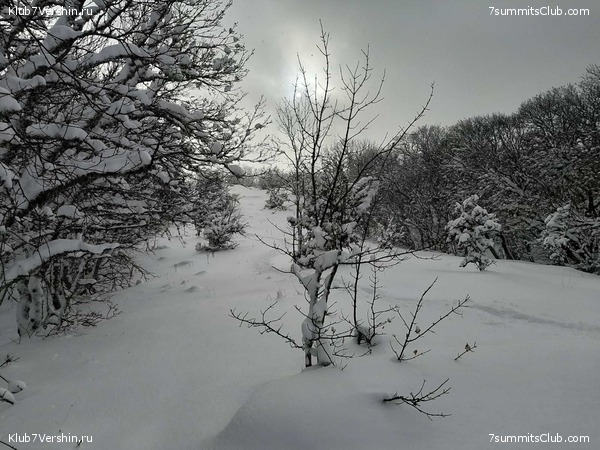 ����. ���� 2020 - 2021, ���� 54