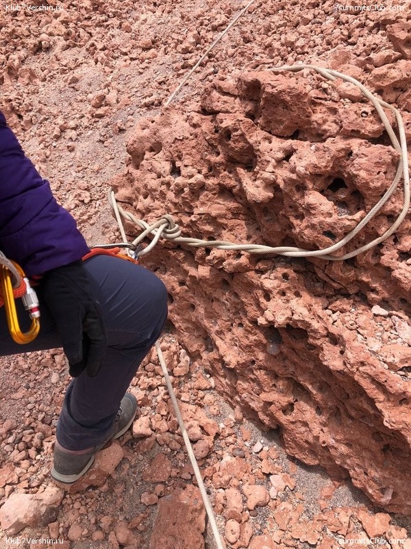 ���� ���� ������. ������ 2021. ������ ������, ���� 220