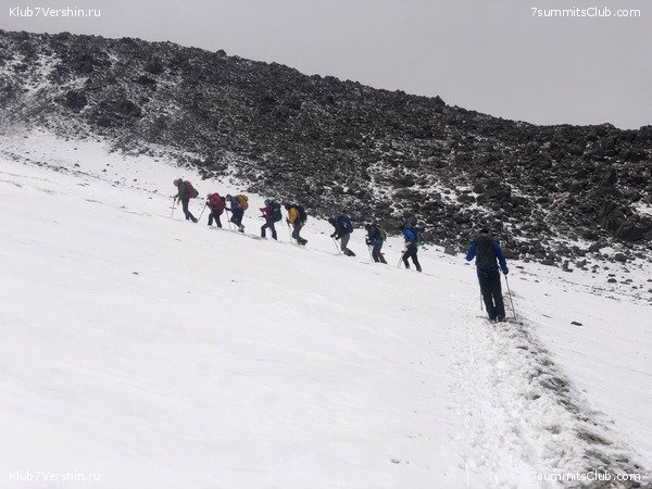 ���� ���� ������. ������ 2021. ������ ������, ���� 131