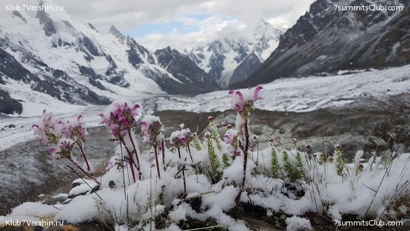 �2 2021-2022. ���������� ����������, ���� 9