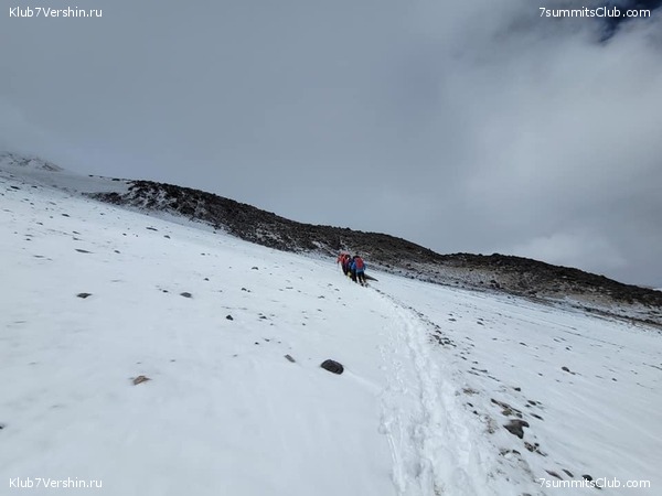 ���� ���� ������. ������ 2021. ������ ������, ���� 135