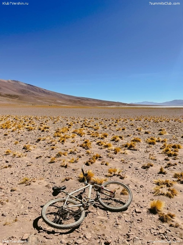 ���� ���� ������ ������� 2021. ����� ���������, ���� 49