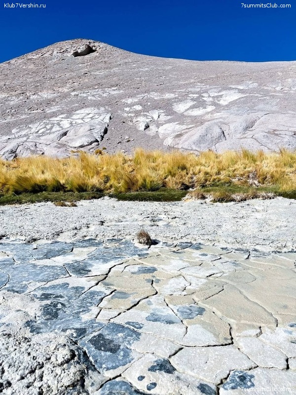 ���� ���� ������ ������� 2021. ����� ���������, ���� 50