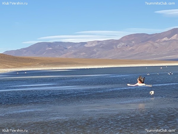 ���� ���� ������ ������� 2021. ����� ���������, ���� 26