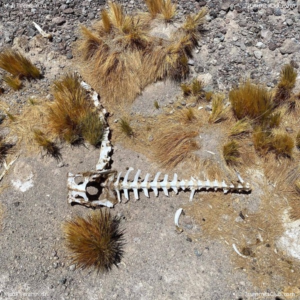 ���� ���� ������. ������ 2021. ������ ������, ���� 170