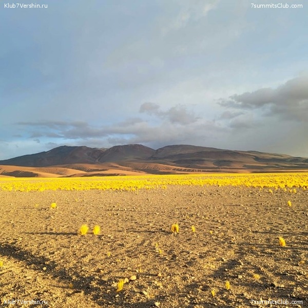 ���� ���� ������. ������ 2021. ������ ������, ���� 171