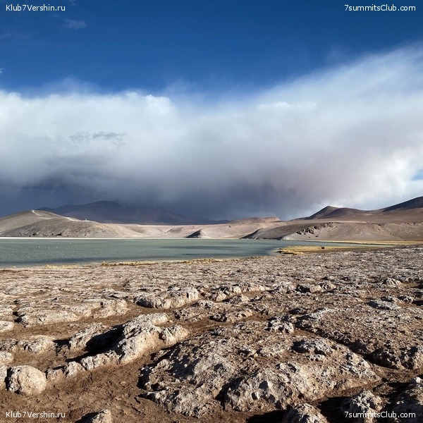 ���� ���� ������. ������ 2021. ������ ������, ���� 173