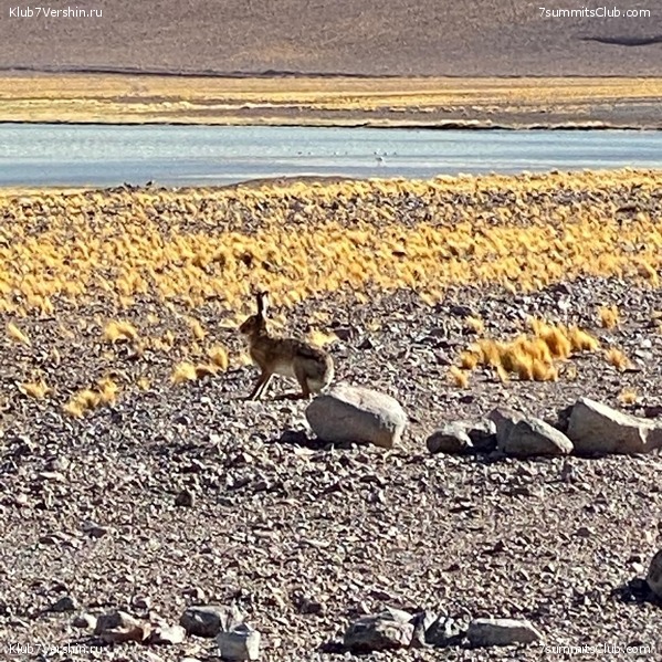 ���� ���� ������. ������ 2021. ������ ������, ���� 150