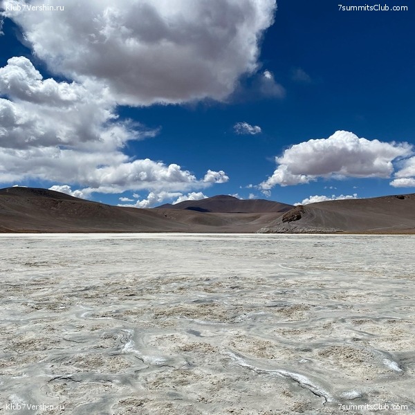 ���� ���� ������. ������ 2021. ������ ������, ���� 174