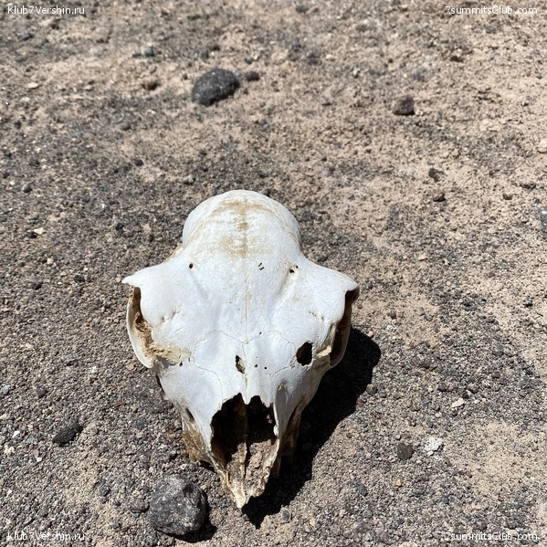 ���� ���� ������. ������ 2021. ������ ������, ���� 151