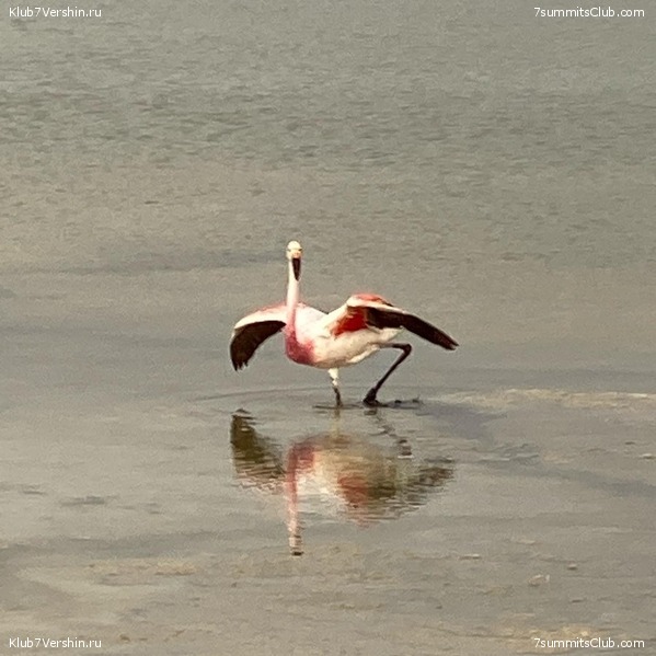 ���� ���� ������. ������ 2021. ������ ������, ���� 152