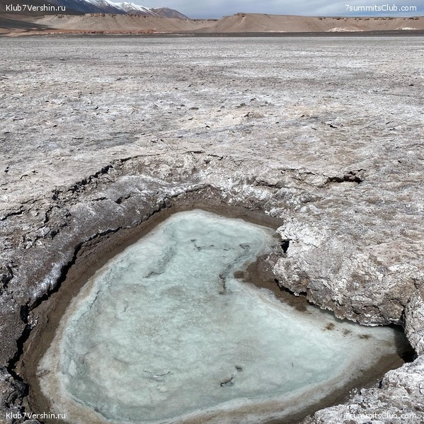 ���� ���� ������. ������ 2021. ������ ������, ���� 157