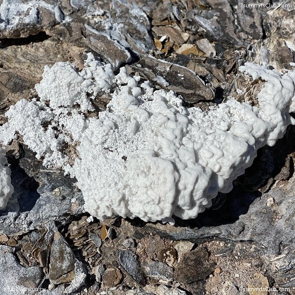 ���� ���� ������. ������ 2021. ������ ������, ���� 158