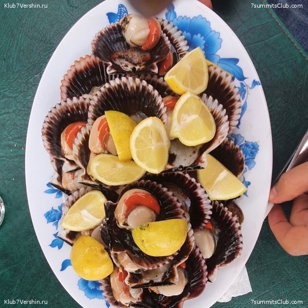 ���� ���� ������. ������ 2021. ������ ������, ���� 194