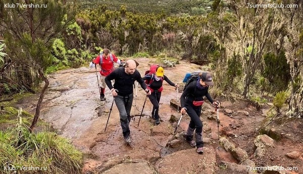 ������������ 2021.  �������, ���� 10